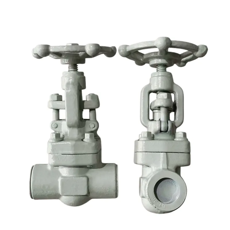 Chemical Industry Spesifike Gate Valve