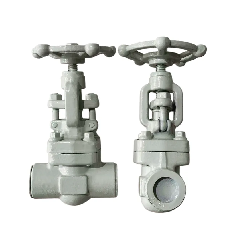 Socket-laske Forged Gate Valve