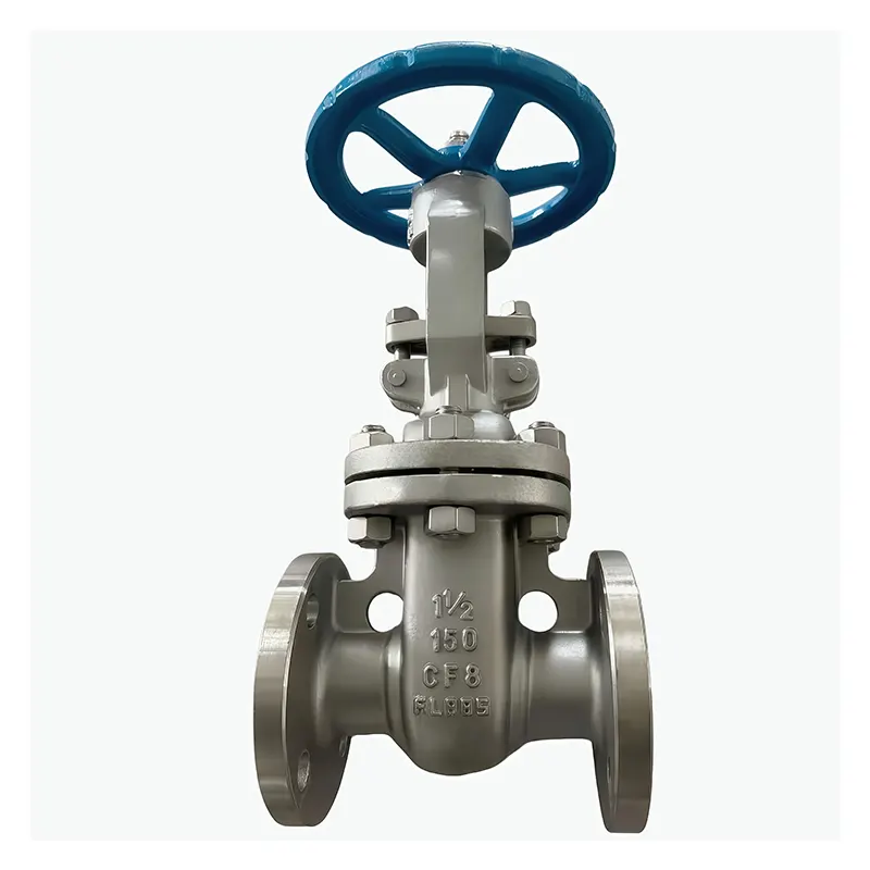 Stainless Steel 304 Flanged Gate Valve