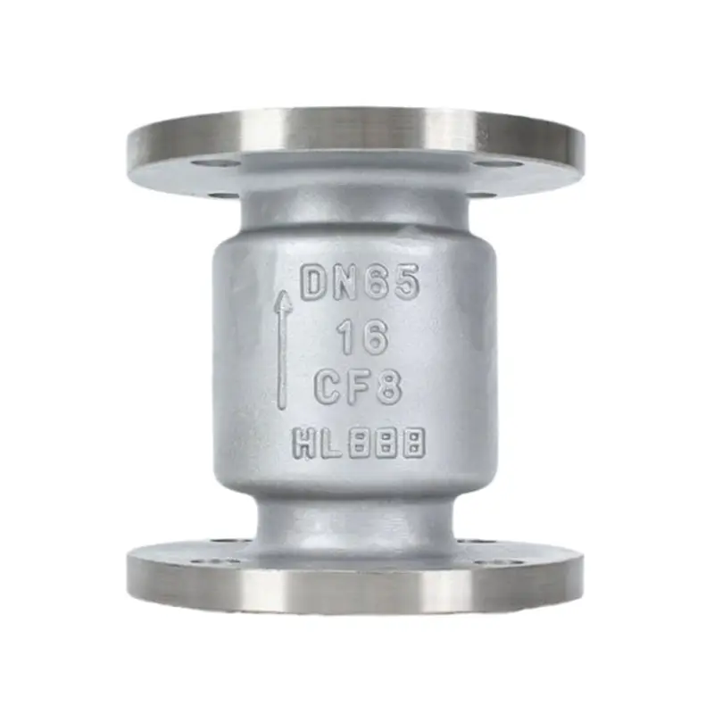 Stainless Steel 316 Fertikale Check Valves