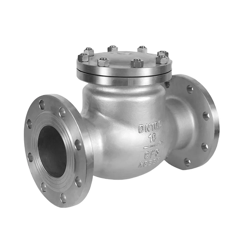 Stainless Steel GB Standert Check Valve