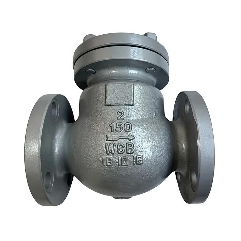 WCB American Standert Check Valve